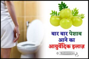 Ayurvedic Remedies For Frequent Urination 2024 : बार-बार पेशाब आने की समस्या से छुटकारा पाने के लिए आजमाएं ये आयुर्वेदिक उपाय, कम होगी परेशानी देखे यहाँ से Full Information