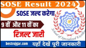 SOSE Result 2025: Download Link For Class 9th And 11th Entrance Exam – How To Check Date @edudel.nic.in