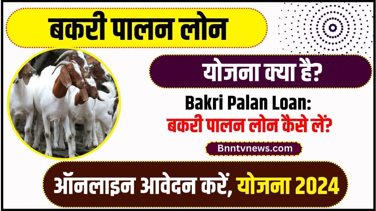 Bihar Bakri Palan Yojana 2024 : मिलेंगे ₹13500 सीधे खाते में बिहार बकरी पालन योजना ऑनलाइन आवेदन शुरू जाने आवेदन प्रक्रिया और Full Information 1 Bihar Bakri Palan Yojana