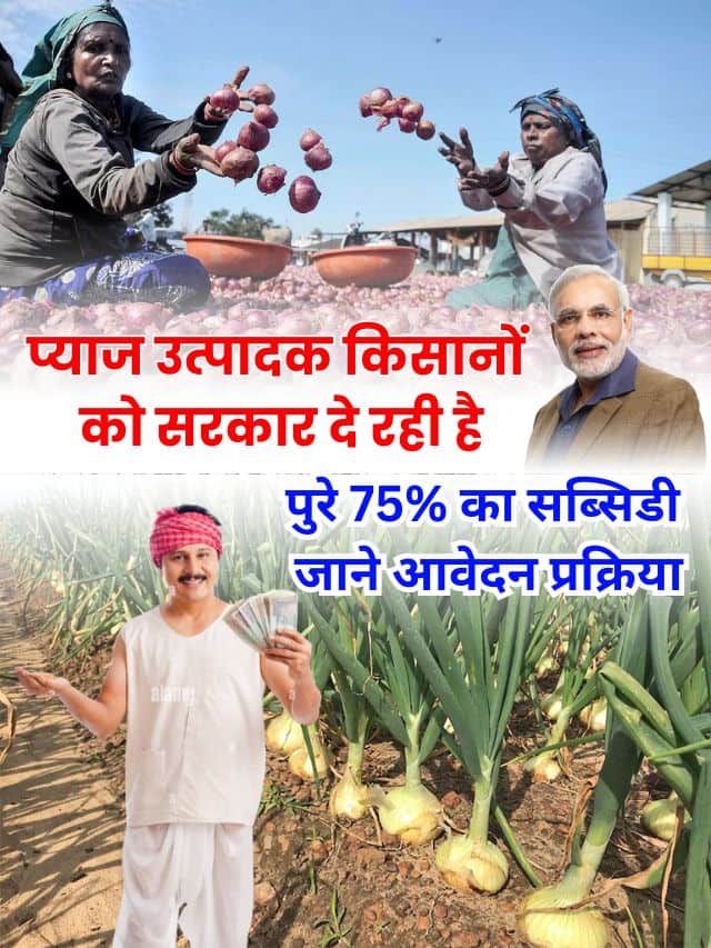 प्याज उत्पादक किसानों को सरकार दे रही है पूरे 75% का सब्सिडी, जाने आवेदन प्रक्रिया