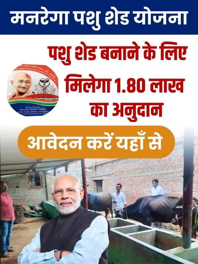 सरकार से अब पशुओं का शेड बनाने के लिए रु1 लाख 80,000 अनुदान में मिलेंगे