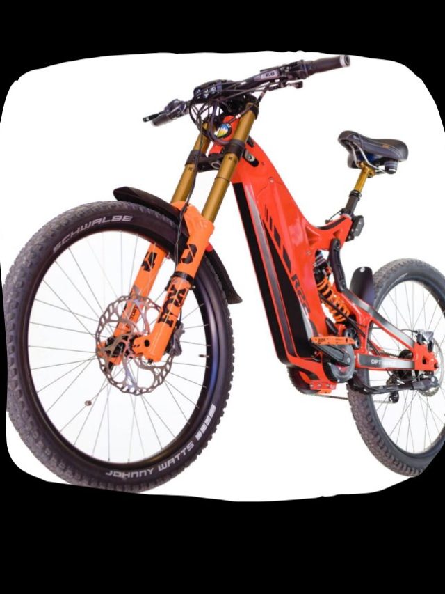 R22T Downhill eMTB E-Bike