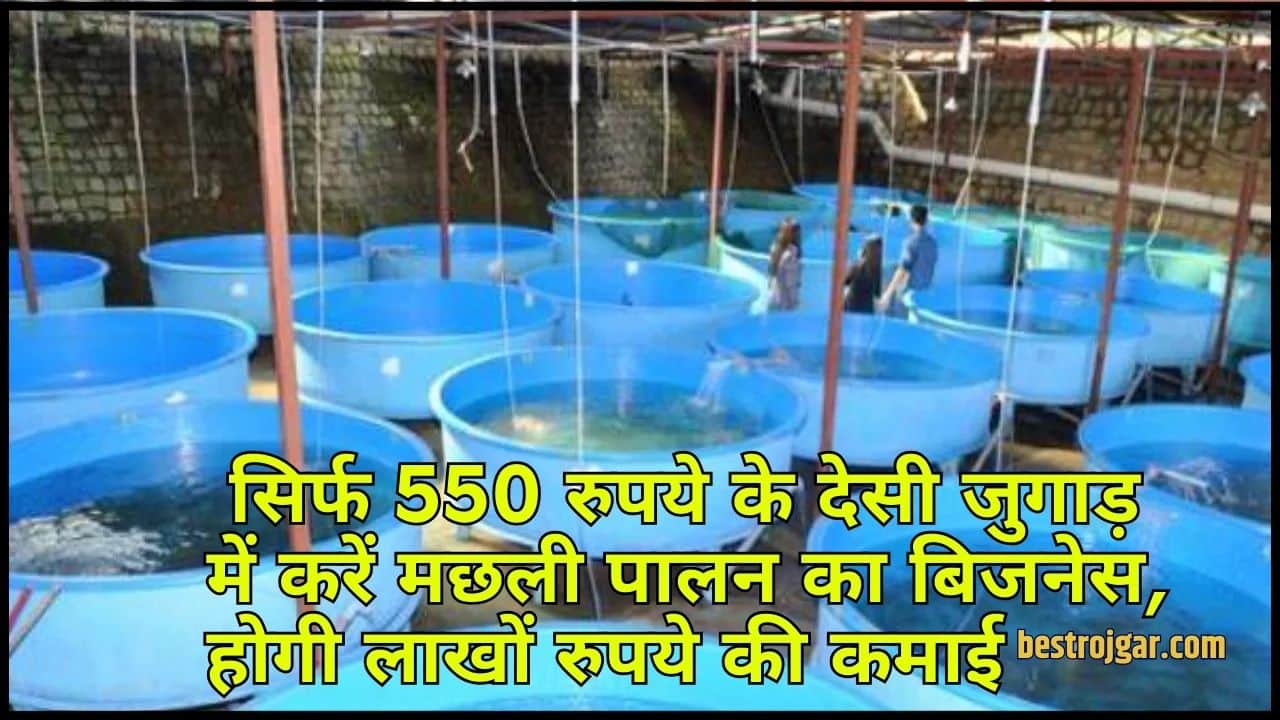 Start Fish Farming Business: सिर्फ 550 रुपये के देसी जुगाड़ में करें मछली पालन का बिजनेस, होगी लाखों रुपये की कमाई 2 Start Fish Farming Business