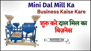 Mini Dal Mill Ka Business Kaise Kare 2024 : शुरू करें दाल मिल का बिजनेस देखे यहाँ से Full Information