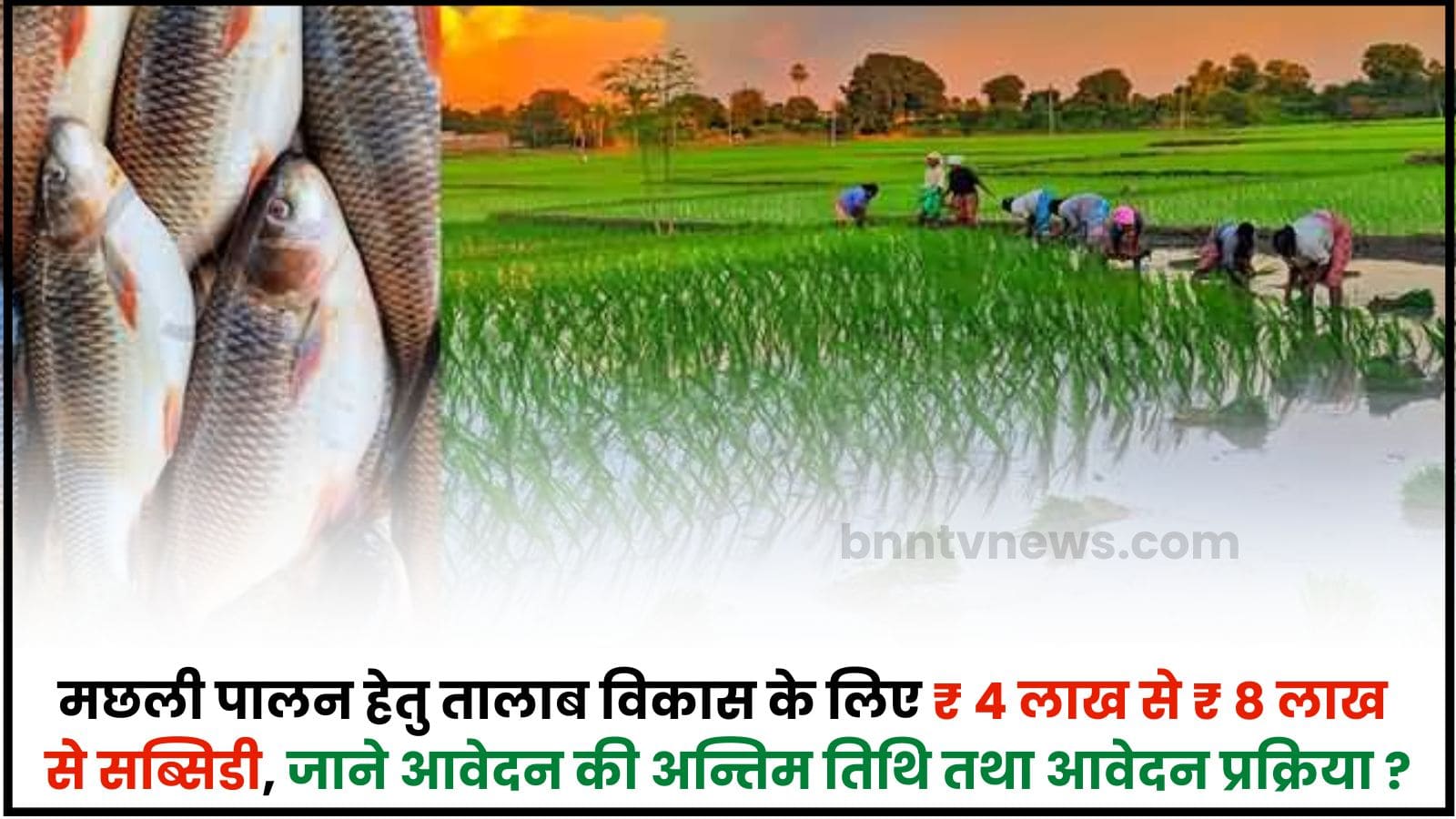 Mukhyamantri Talab Matsyaki Vikas Yojana