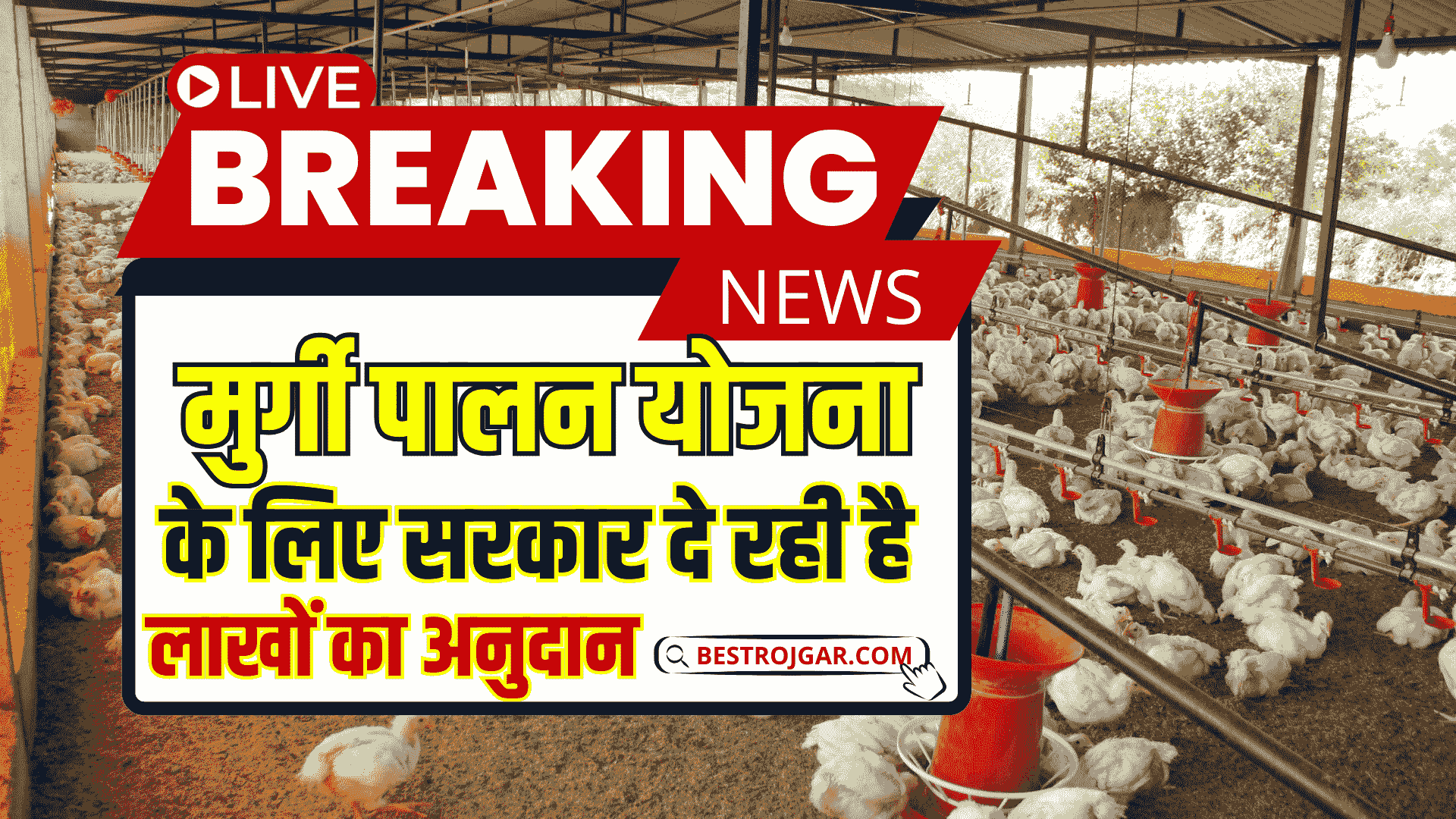 Bihar Murgi Palan Yojana 2025 : बिहार सरकार दे रही है मुर्गी फ़ार्म खोलने के लिए पैसा ऐसे करे ऑनलाइन 2 Bihar Murgi Palan Yojana