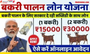 Bakri Palan Business Loan 2025: बकरी पालन बिजनेस लोन योजना के फॉर्म भरना शुरू जाने पूरी जानकारी