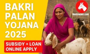 Bakri Palan Yojana 2025 | Goat Farming Subsidy & Loan Online Apply नए आवेदन शुरू