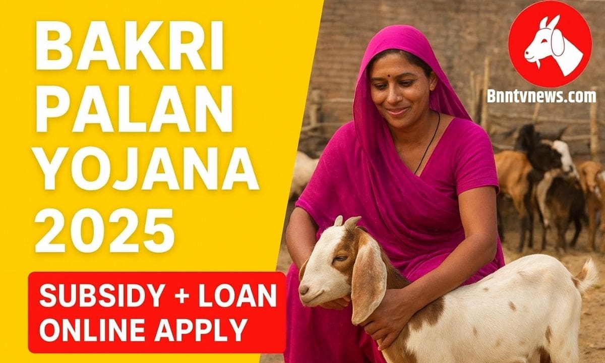 Bakri Palan Yojana 2025 Goat Farming Subsidy