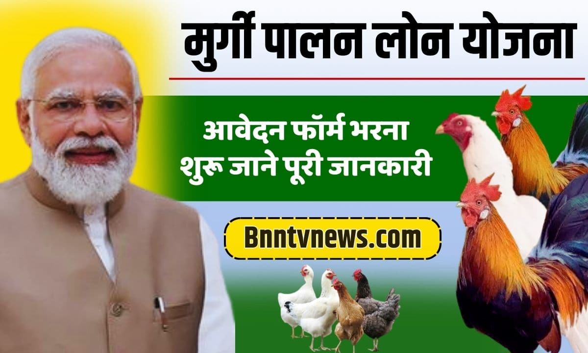 Murgi Palan Loan Yojana 2025: मुर्गी पालन लोन योजना के आवेदन फॉर्म भरना शुरू जाने पूरी जानकारी | 3 Murgi Palan Loan Yojana 2025