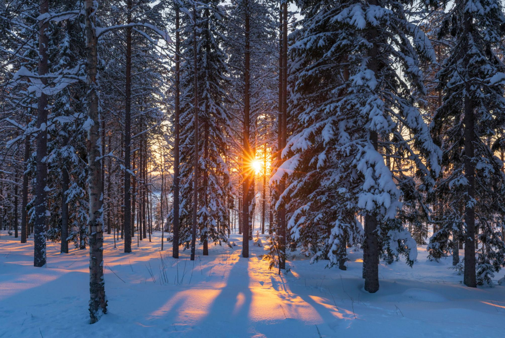 Finnish Lapland